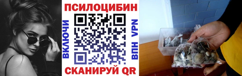 Галлюциногенные грибы MAGIC MUSHROOMS  магазин продажи наркотиков  Шилка 